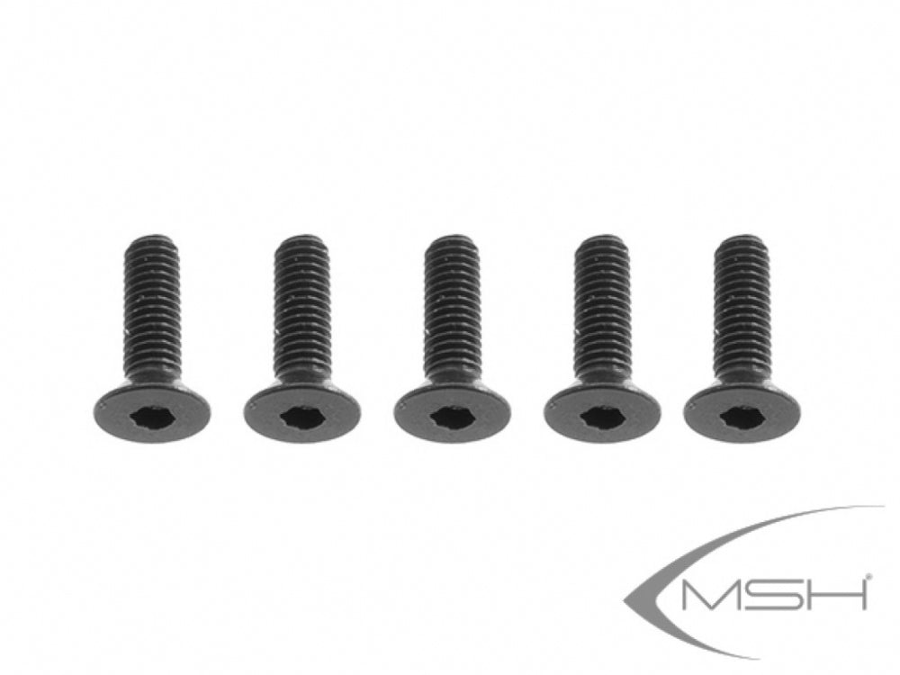 Flat screw M3*10