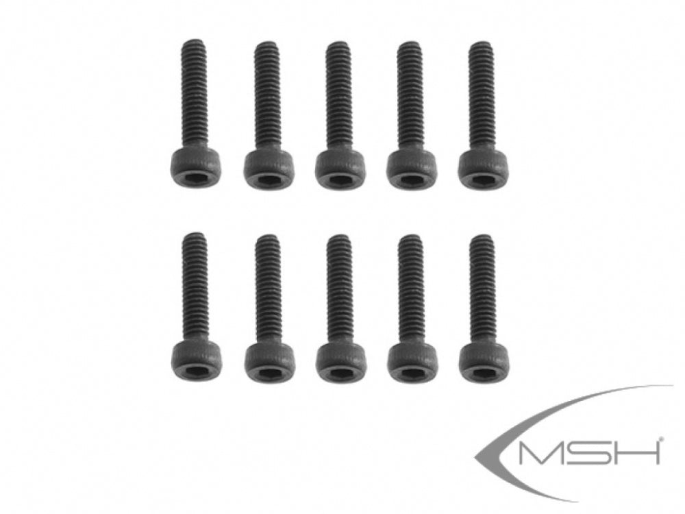 Hex Screw M2.5*10